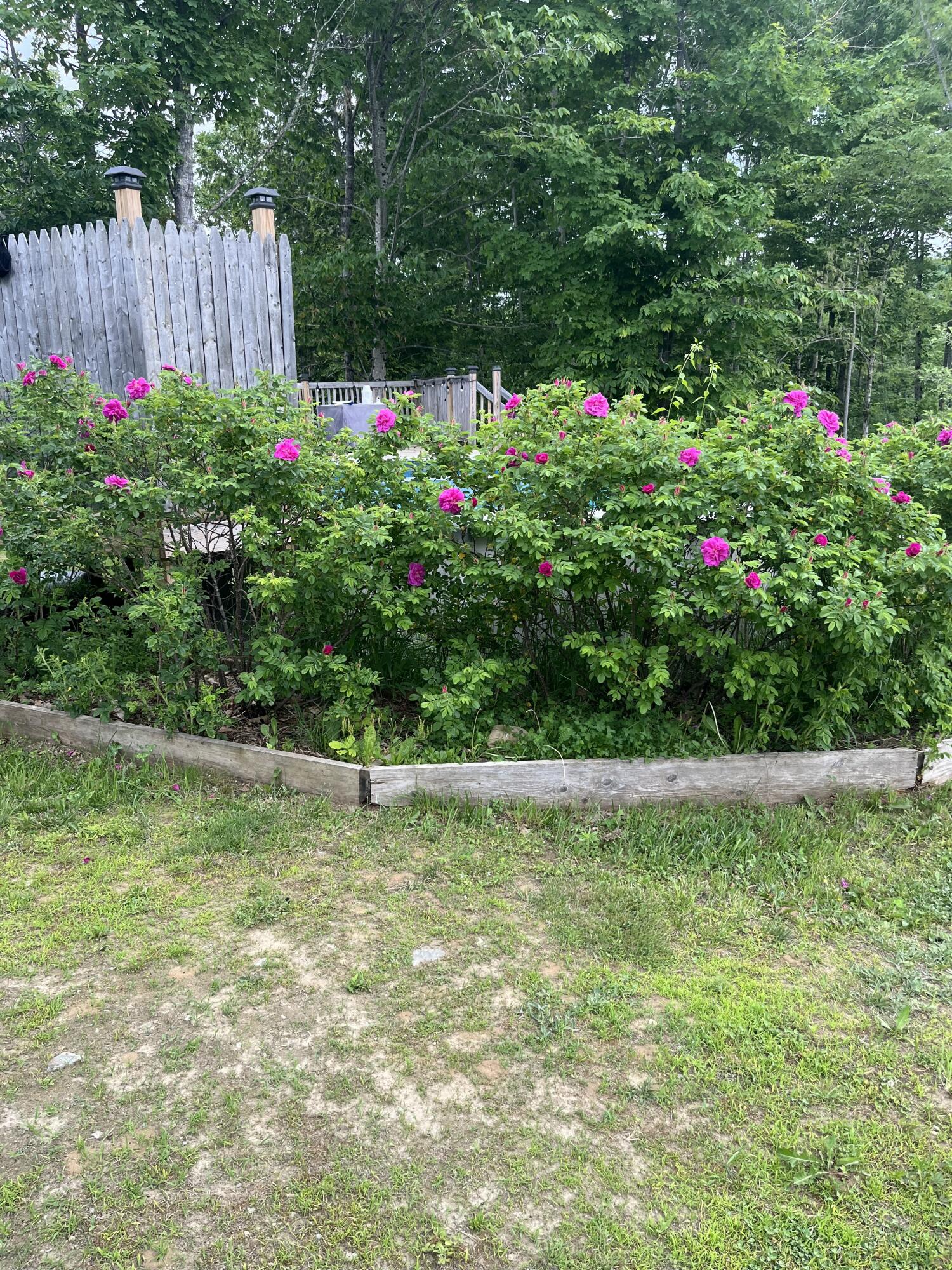 456 Temple Road Farmington, ME 04938 - Photo 97 of 97 IMG_9085