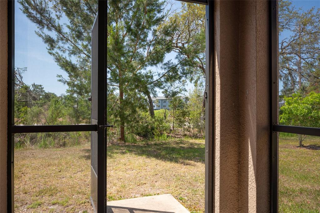 11704 Castine Street New Port Richey, FL 34654 - Photo 9 of 31 a view of a from a window