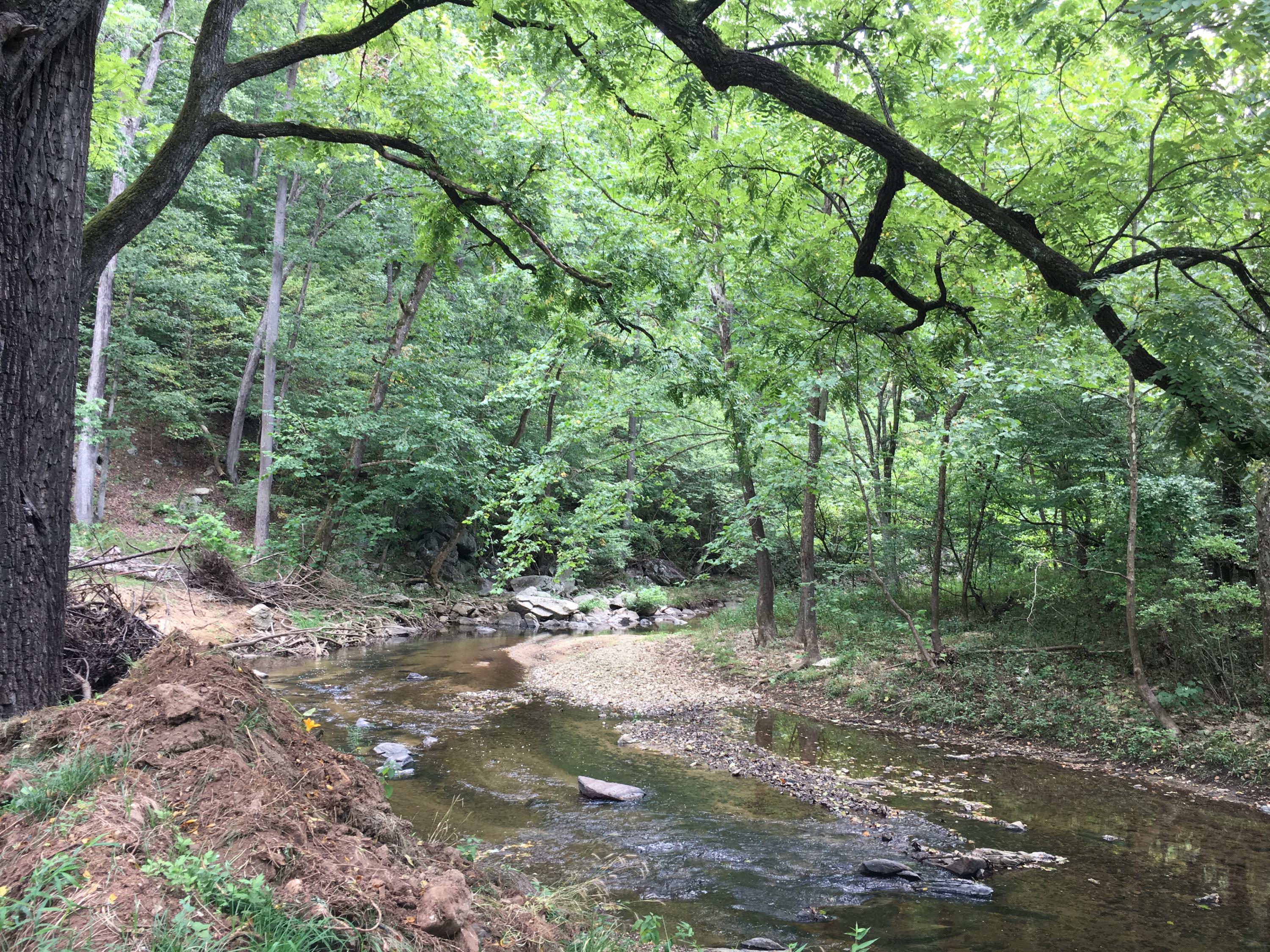 6758 Back Creek Road Boones Mill, VA 24065 - Photo 1 of 11 Back Creek