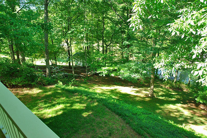 1283 Crosswind Road Goodview, VA 24095 - Photo 15 of 48 a view of yard with green space