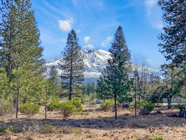 $115,000 | Lot 46 Hidden Meadow Drive, Weed, CA 96094