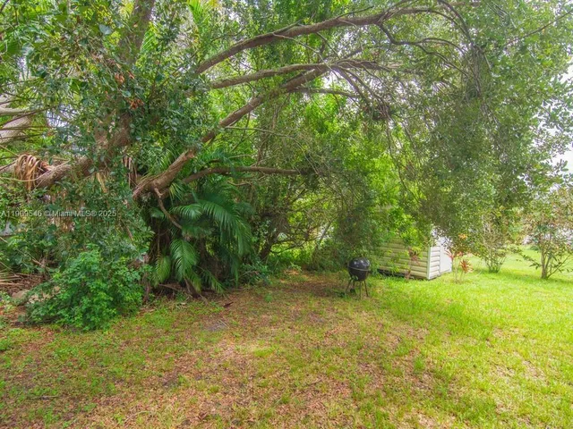 a view of a backyard with a tree