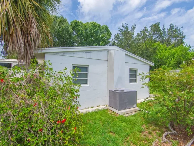 a close up of a plant in a garden