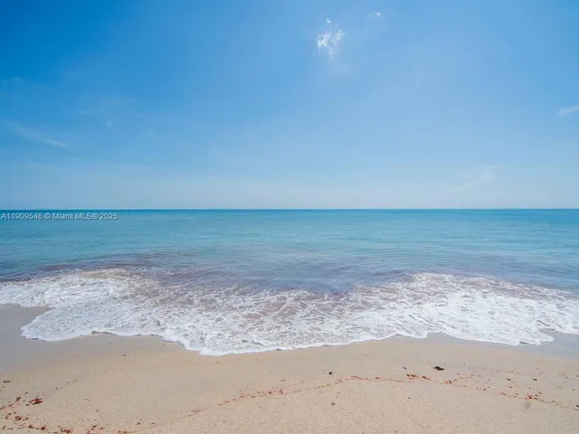 a view of a park with a bench and trees