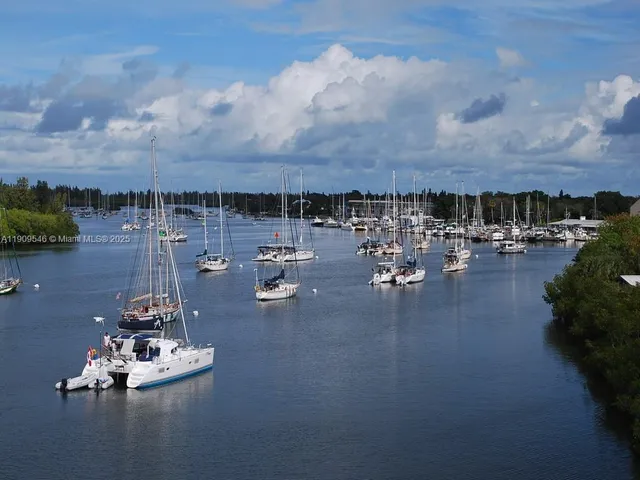 a view of a backyard with palm trees