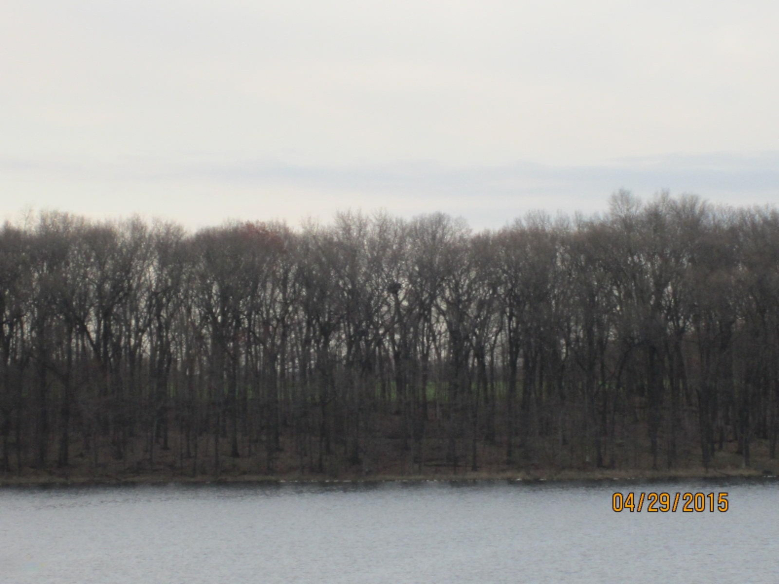 9491 Milo Road Plainwell, MI 49080 - Photo 58 of 65 IMG_9889