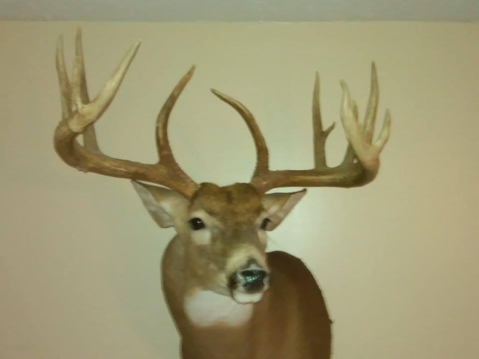 9491 Milo Road Plainwell, MI 49080 - Photo 59 of 65 Buck2