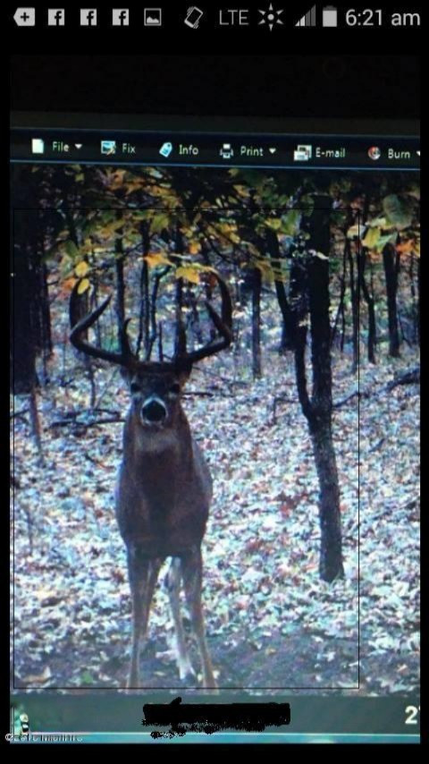 9491 Milo Road Plainwell, MI 49080 - Photo 60 of 65 11_25_15 Buck on home farm down