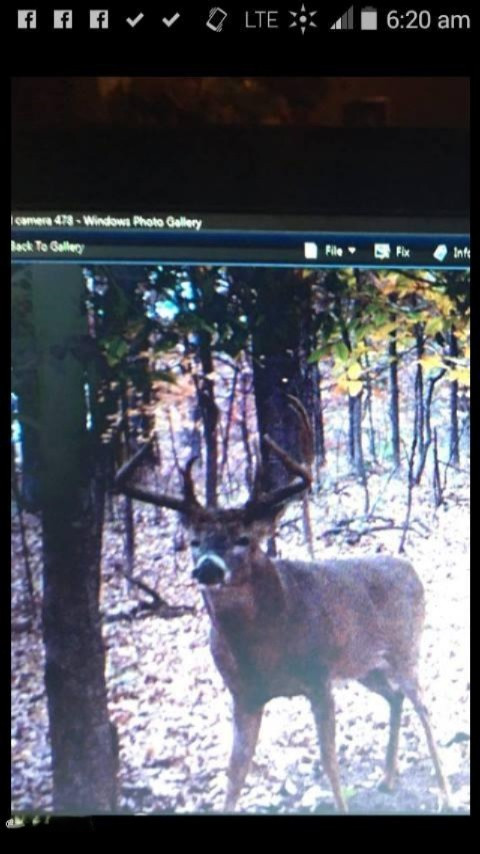 9491 Milo Road Plainwell, MI 49080 - Photo 61 of 65 11_25_15 Buck on home farm down2