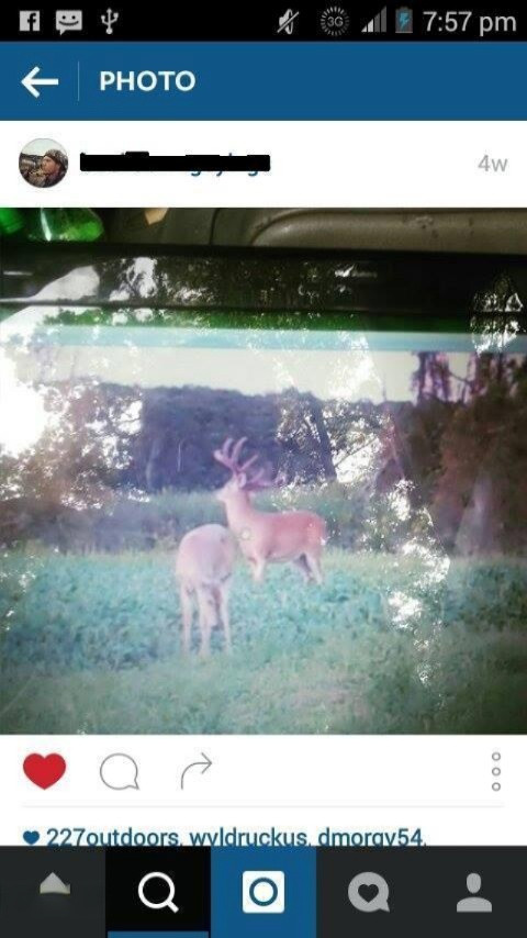 9491 Milo Road Plainwell, MI 49080 - Photo 63 of 65 11_25_15 Buck on home farm down4