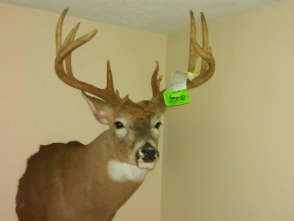9491 Milo Road Plainwell, MI 49080 - Photo 65 of 65 Buck