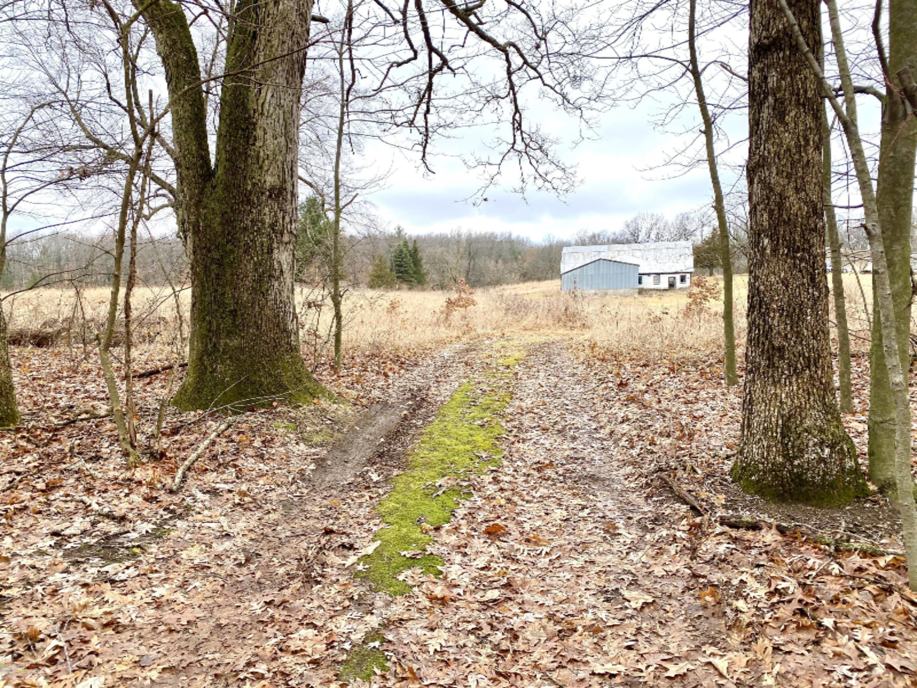 3191 West Long Lake Road Orleans, MI 48865 - Photo 59 of 62 F57F4FE7-2B78-4465-A14B-C8E767909C29