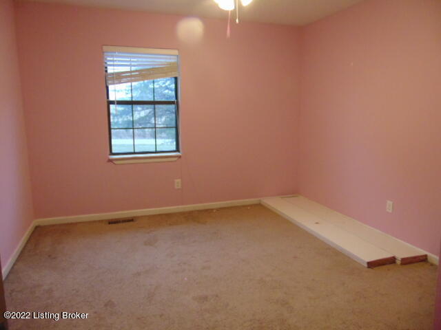 7875 Brandenburg Road Ekron, KY 40117 - Photo 15 of 22 DSC00711