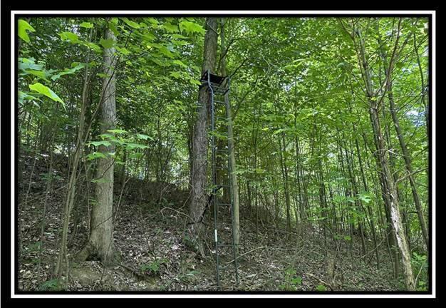 59 Weaver Road, Unit TRACT C) Chillicothe, OH 45601 - Photo 29 of 36 image029