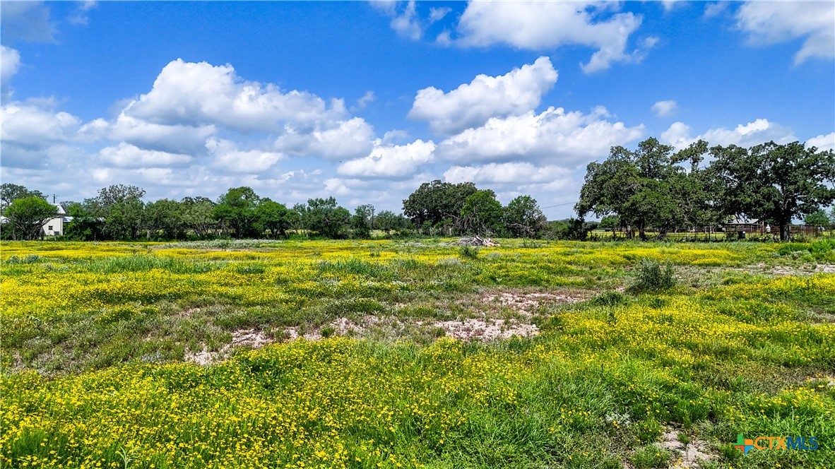 275-279 Cross Road Kingsbury, TX 78638 - Photo 14 of 36 a view of a big yard with plants and large trees