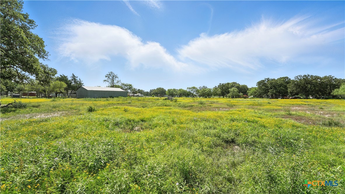 275-279 Cross Road Kingsbury, TX 78638 - Photo 4 of 36 a view of a big yard with lots of green space