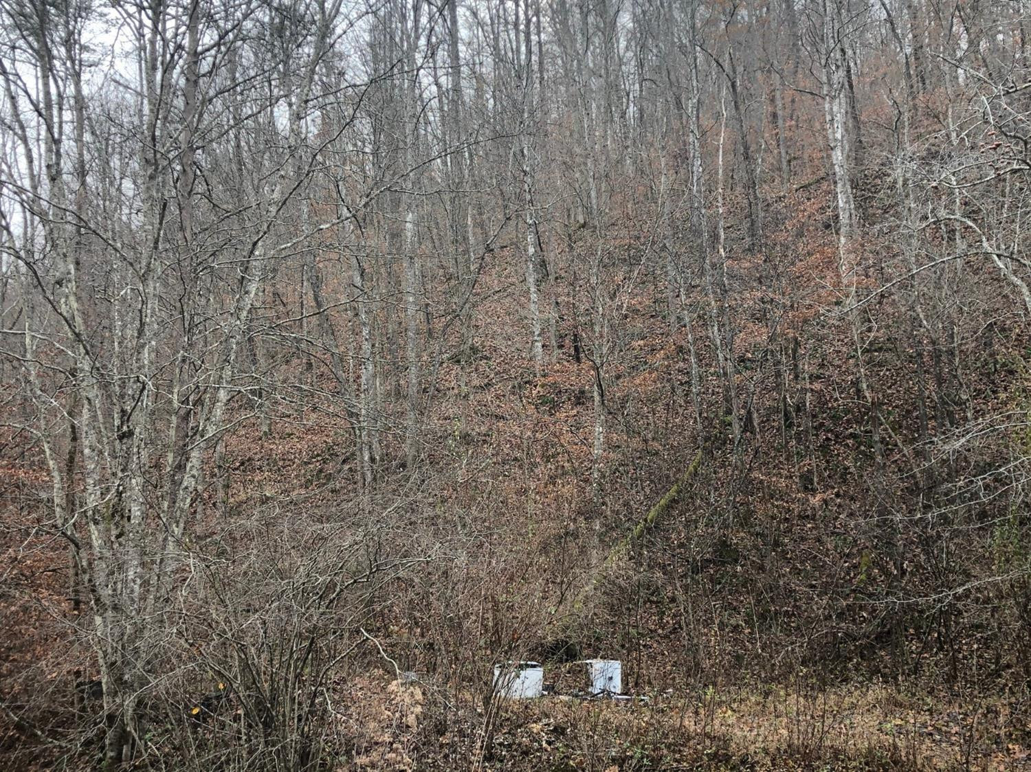 1 Smith Branch Road Jackson, KY 41339 - Photo 5 of 5 Photo 5