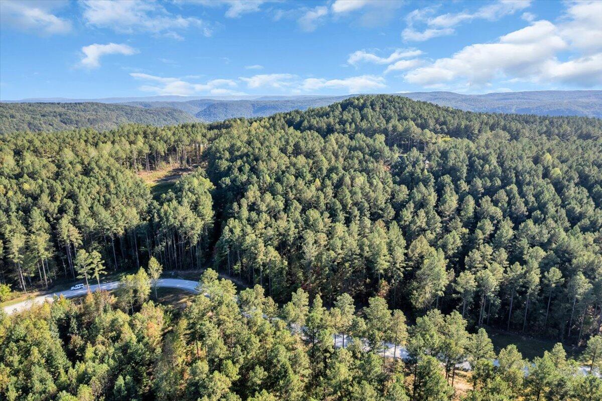 0 Birds Eye Way, Unit 1102 Guild, TN 37340 - Photo 17 of 18 17-DJI_0781
