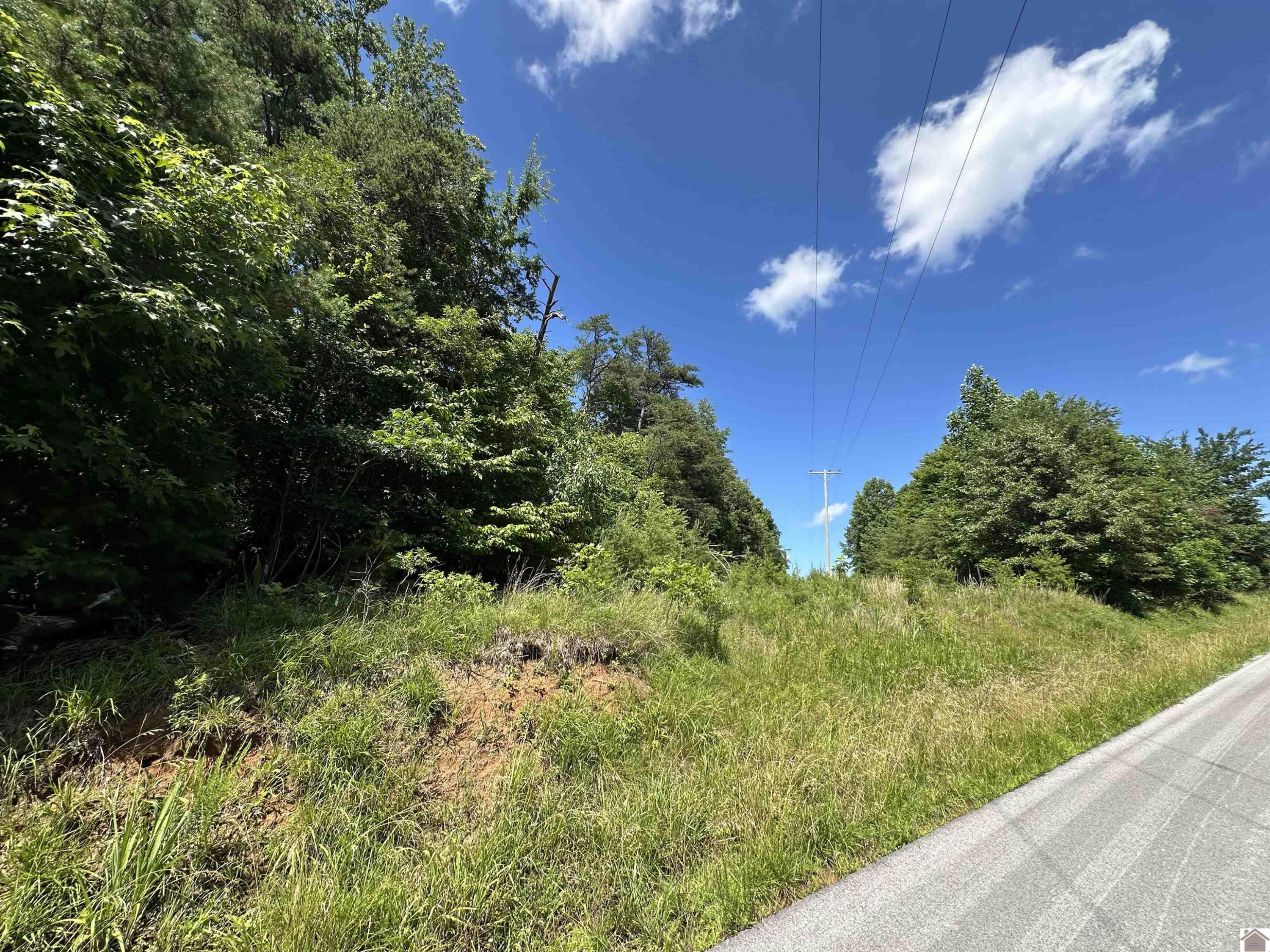 0 Mt Hebron Church Road Dawson Springs, KY 42408 - Photo 2 of 5 Photo 2