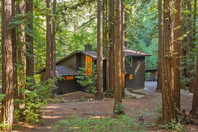 a view of a house with backyard and trees