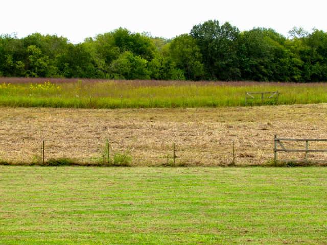 PASTURE LAND WITH FENCING