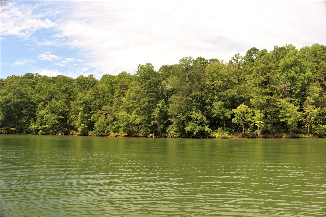 346 Cann Road Anderson, SC 29625 - Photo 31 of 39 Gallery Image 31