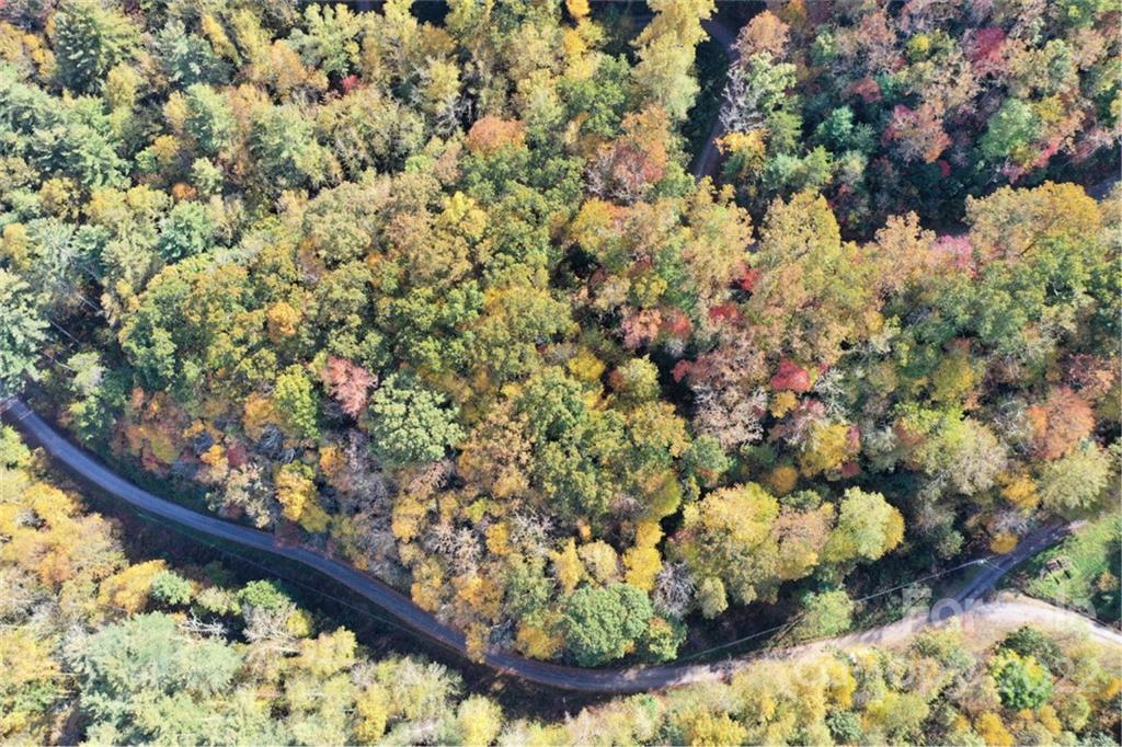 Vl63 Mountain Forest Estates, Unit NONE Sylva, NC 28779 - Photo 5 of 10 a view of flowers in a garden