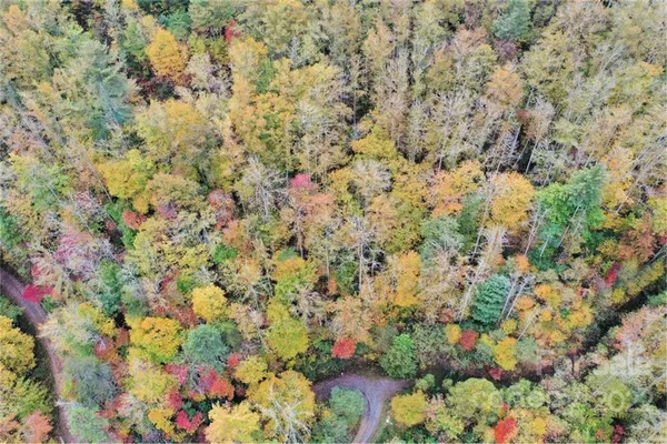 a view of outdoor space and trees