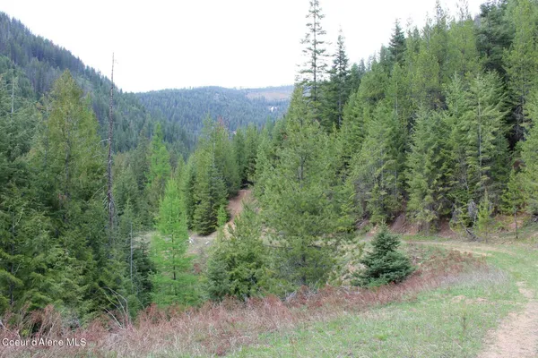 $199,000 | 19 A Daisy Gulch Road, Mullan, ID 83846