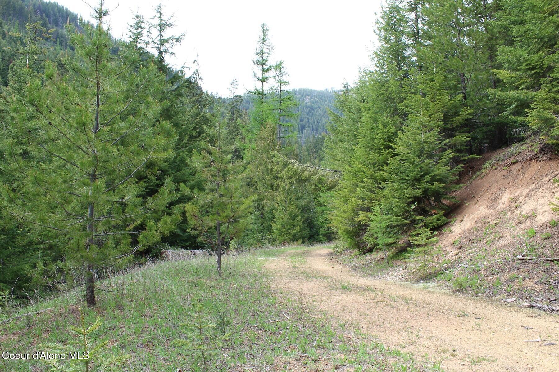 19 A Daisy Gulch Road Mullan, ID 83846 - Photo 16 of 33 Interior East 2