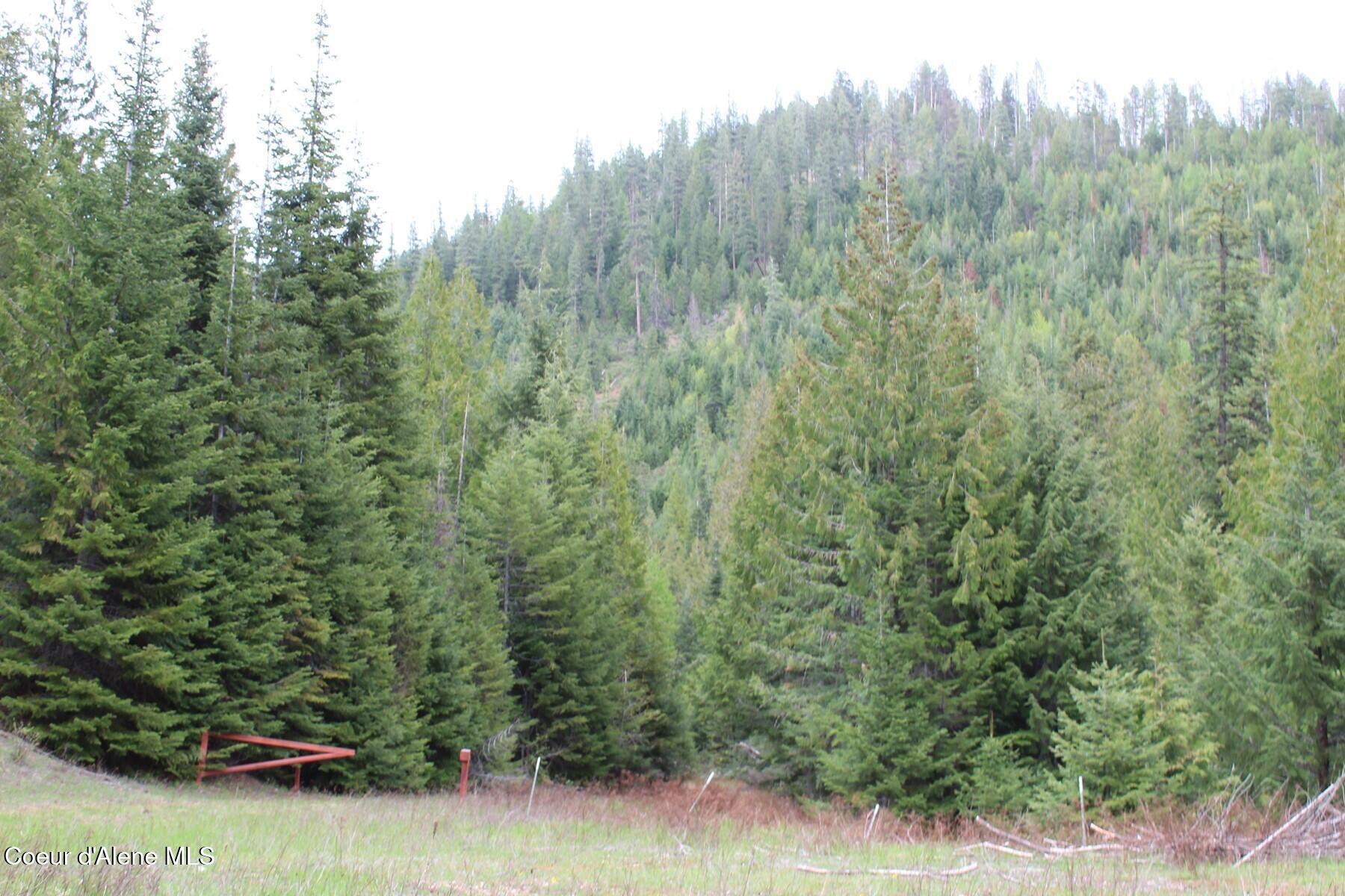 19 A Daisy Gulch Road Mullan, ID 83846 - Photo 19 of 33 IMG_7337