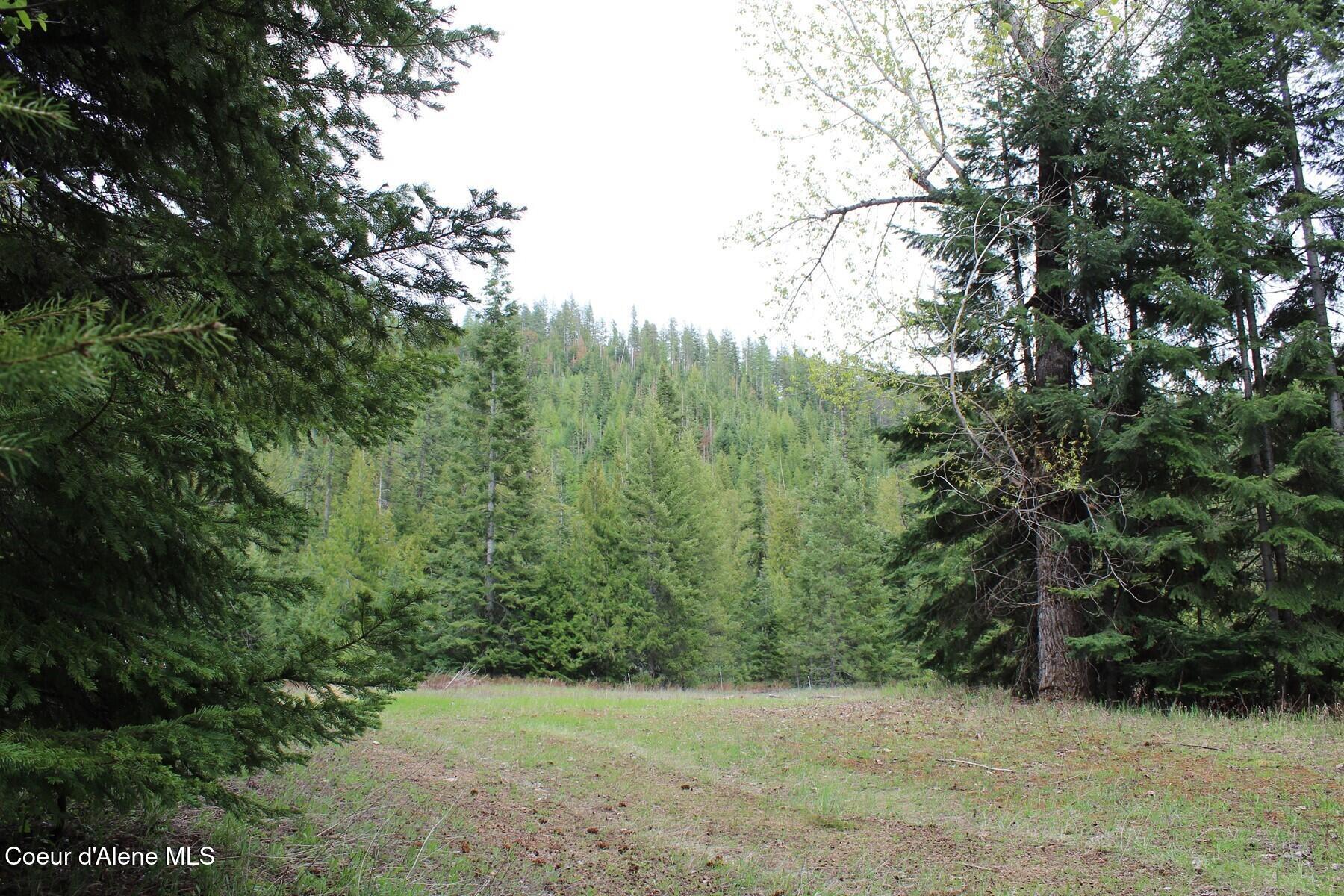19 A Daisy Gulch Road Mullan, ID 83846 - Photo 21 of 33 IMG_7333