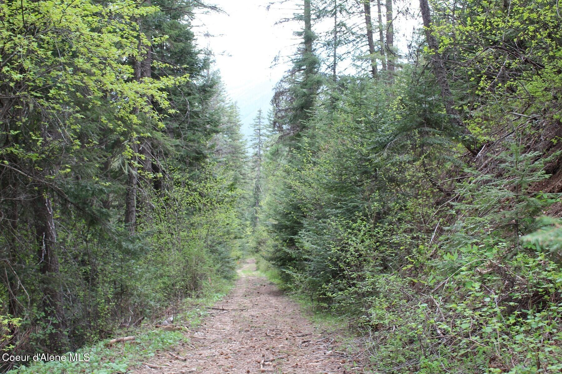 19 A Daisy Gulch Road Mullan, ID 83846 - Photo 25 of 33 USFS Path