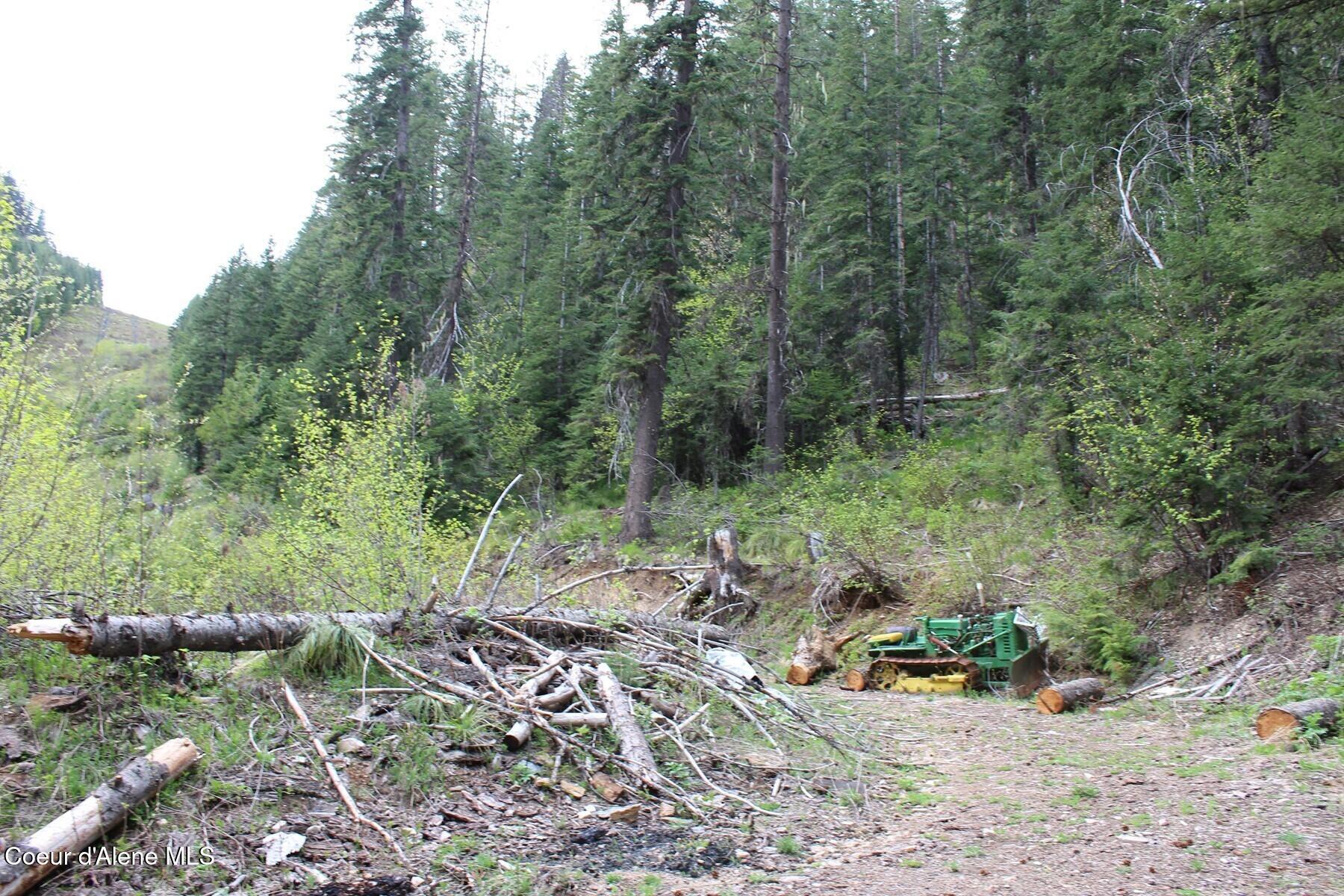 19 A Daisy Gulch Road Mullan, ID 83846 - Photo 27 of 33 2nd turn on USFS Path