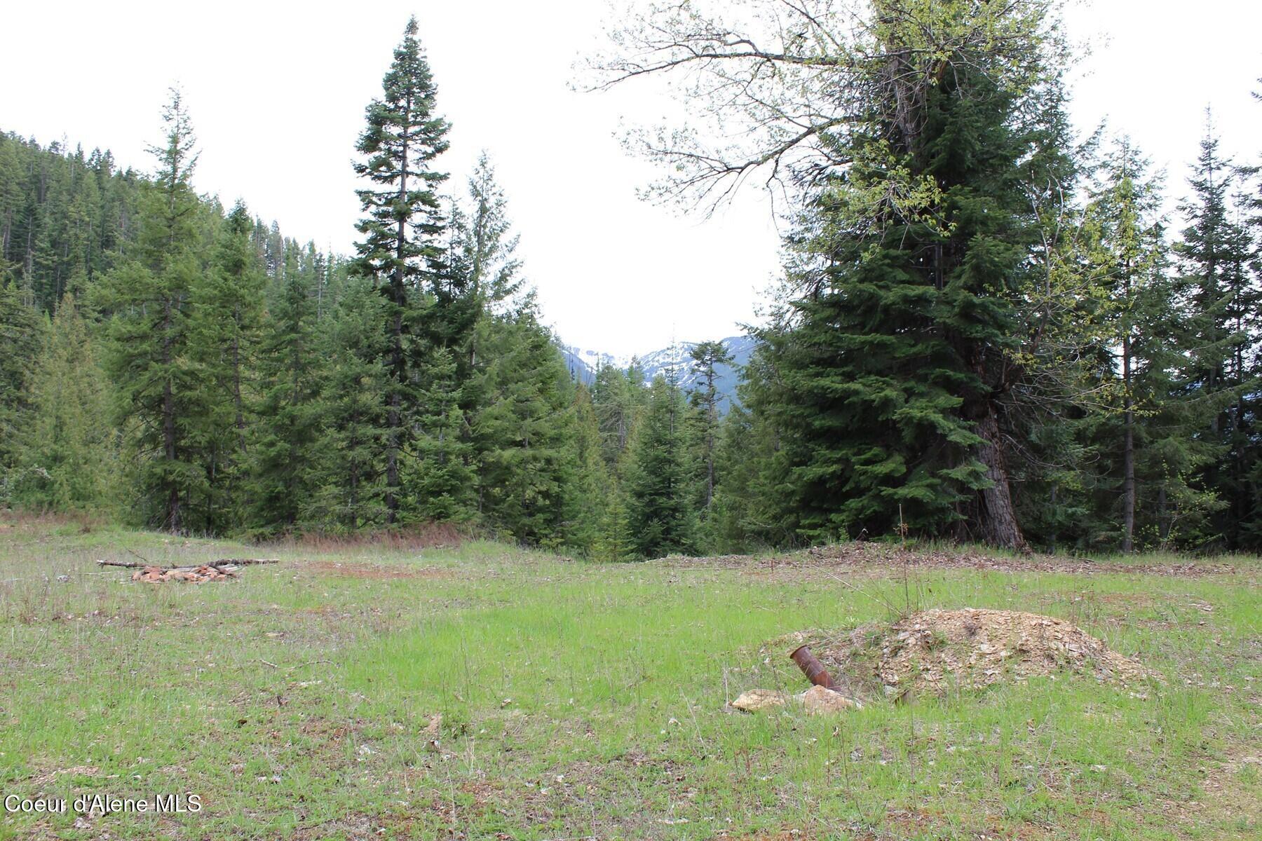 19 A Daisy Gulch Road Mullan, ID 83846 - Photo 5 of 33 Land Site West of Creek