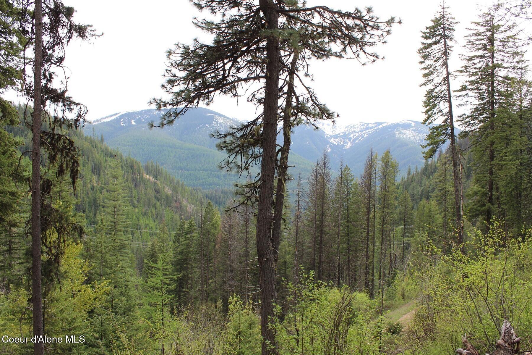 19 A Daisy Gulch Road Mullan, ID 83846 - Photo 10 of 33 Daisy Gulch View