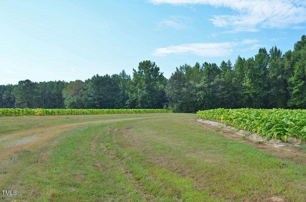 6308 Lancaster Store Road Spring Hope, NC 27882 - Photo 45 of 48 45
