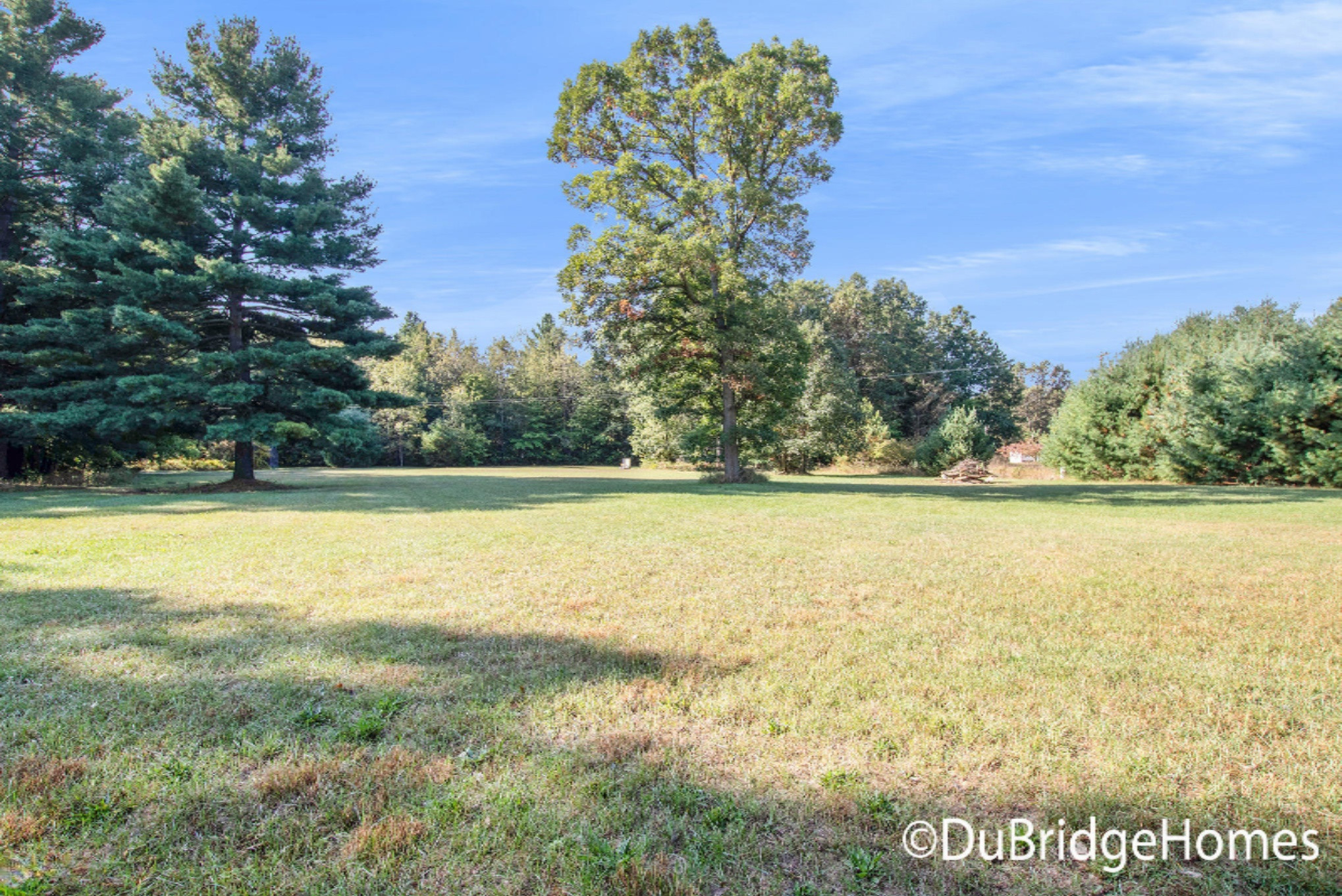 9381 Jones Road Howard City, MI 49329 - Photo 10 of 18 IMG_8388-