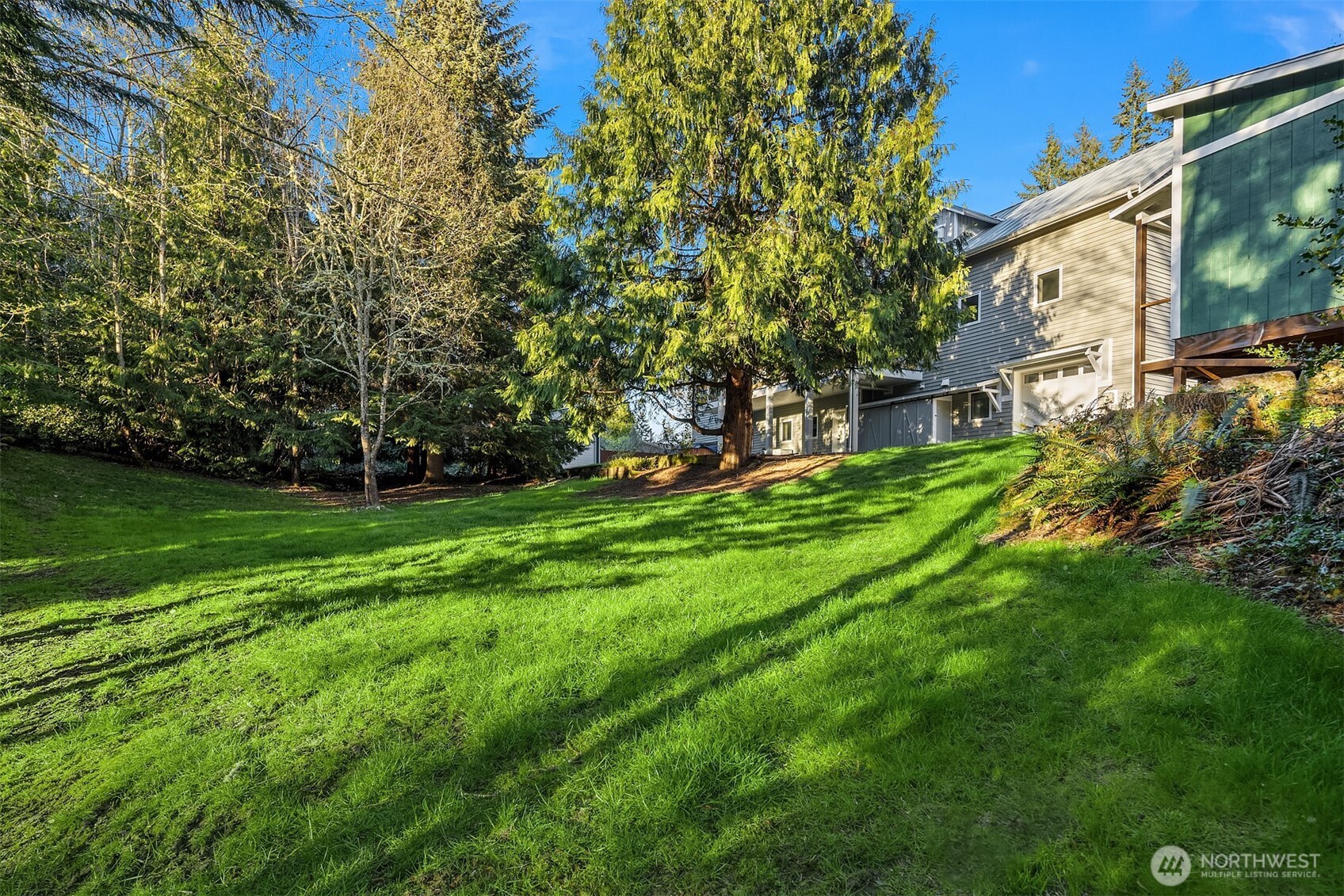 12317 176th Avenue Southeast Renton, WA 98059 - Photo 33 of 39 a backyard of a house with lots of green space