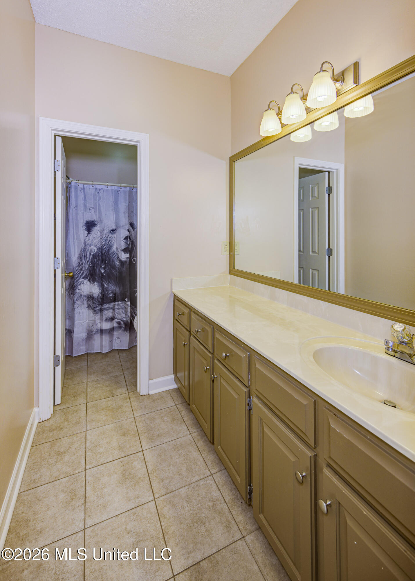 6003 Queens Point Vicksburg, MS 39180 - Photo 31 of 47 Third Bathroom 2