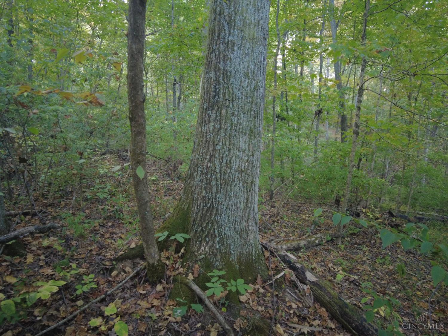 22-ac Richey Road Felicity, OH 45120 - Photo 14 of 30