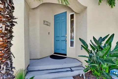 a potted plant sitting in front of a house