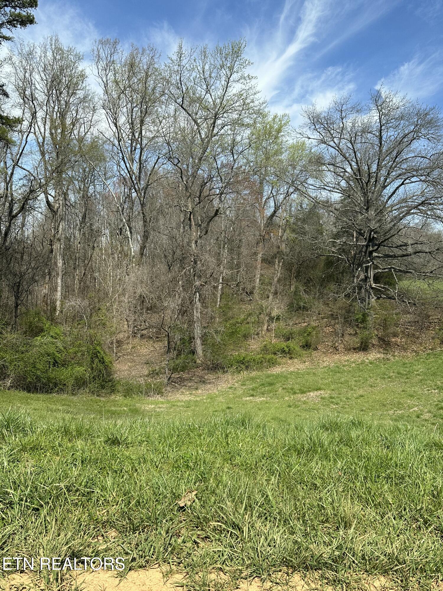 Bob Wright Bob Wright Road Maynardville, TN 37807 - Photo 11 of 19 20240330_183926917_iOS