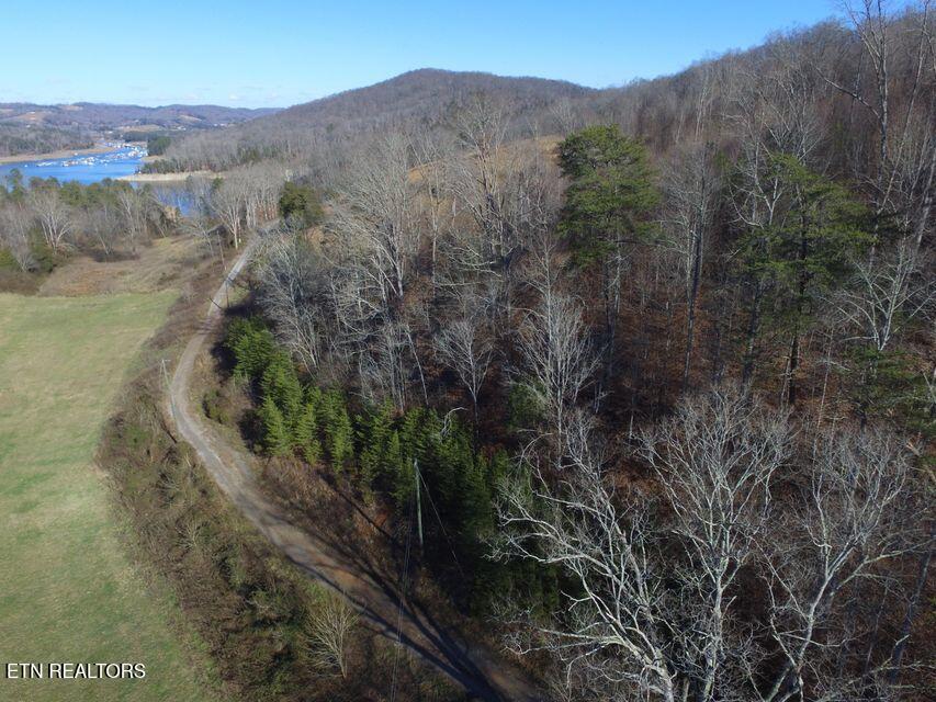 Bob Wright Bob Wright Road Maynardville, TN 37807 - Photo 13 of 19 bob wright overlooking lot 19 to lot 38