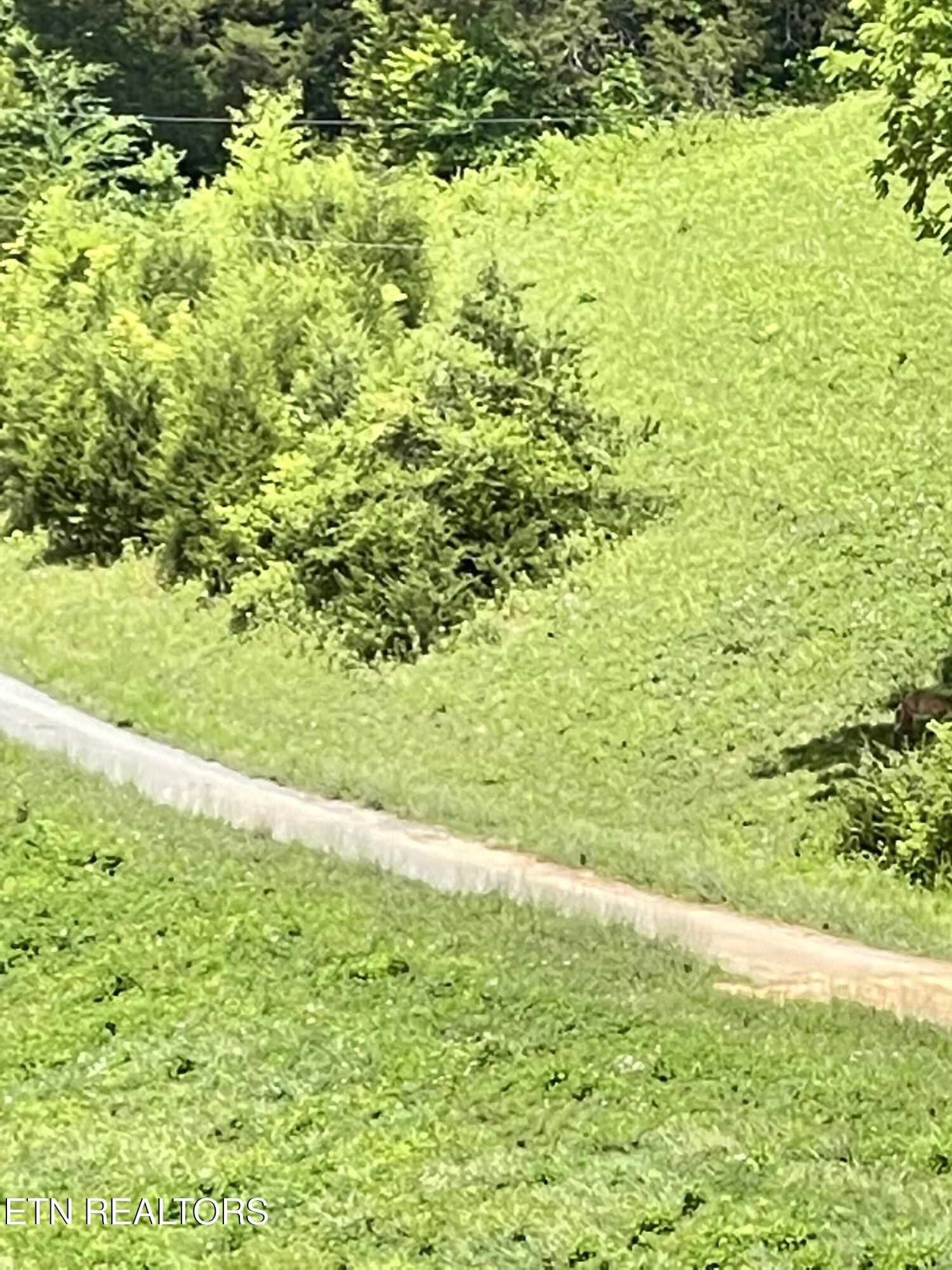 Bob Wright Bob Wright Road Maynardville, TN 37807 - Photo 19 of 19 IMG_2311