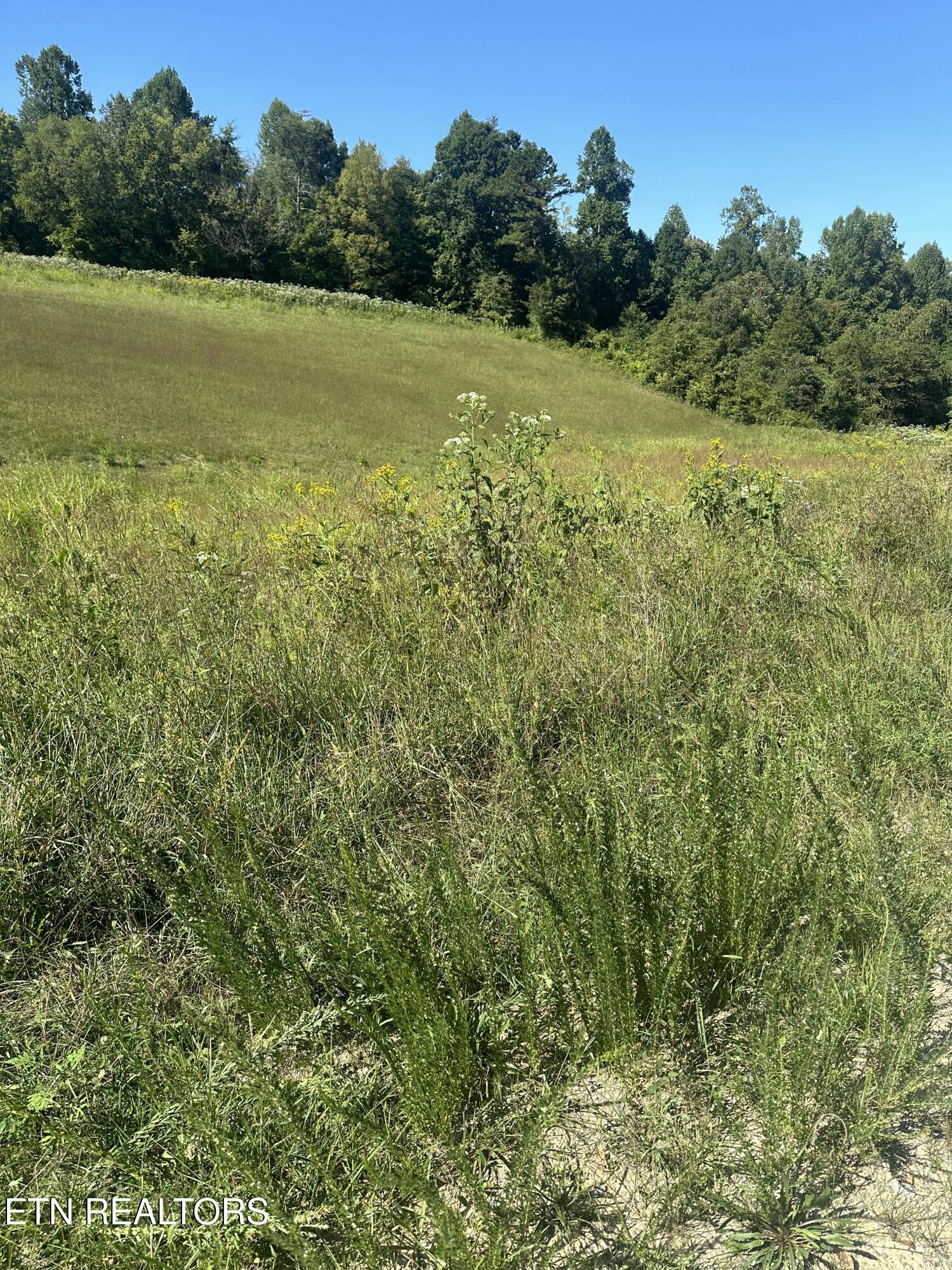 Bob Wright Bob Wright Road Maynardville, TN 37807 - Photo 7 of 19 20240910_193821760_iOS