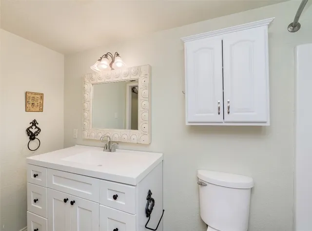 a bathroom with a sink a toilet and a mirror