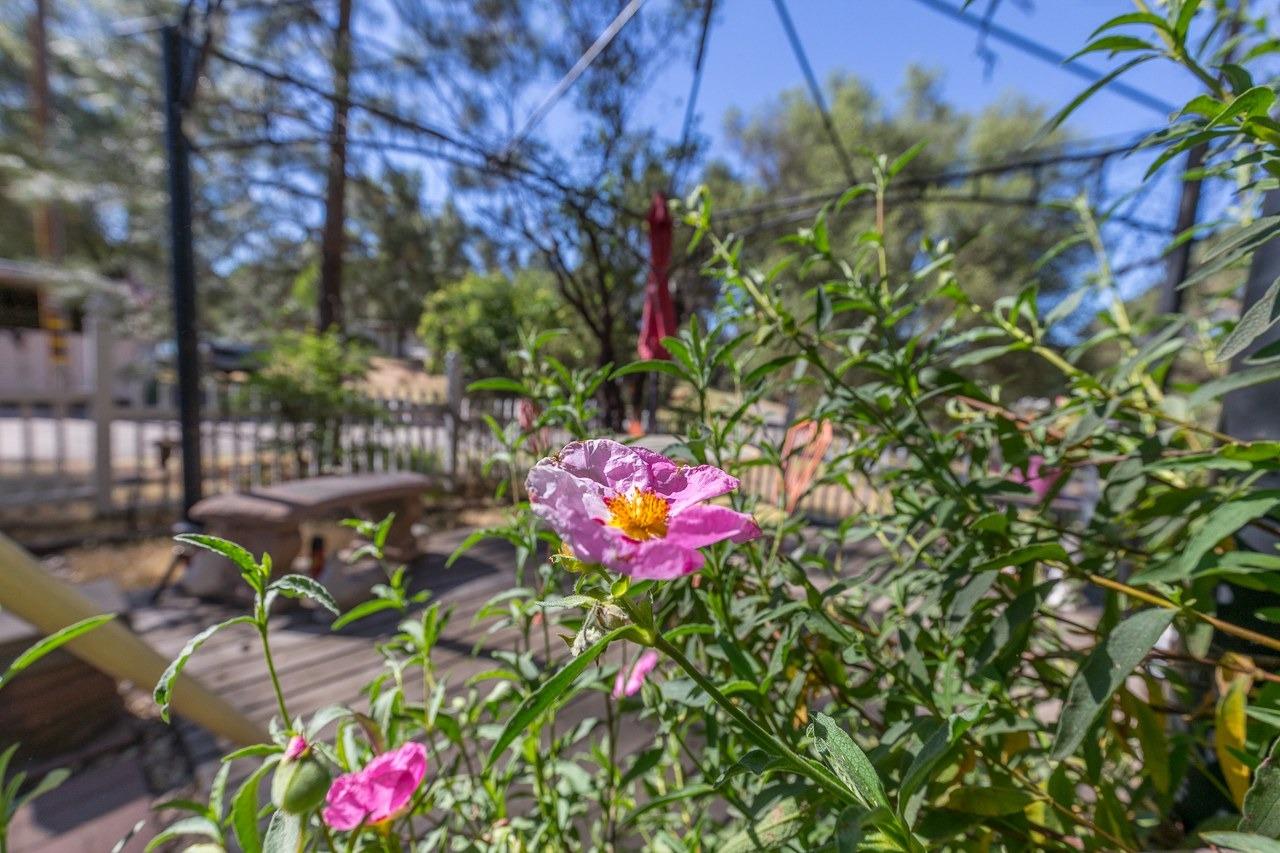 4061 Buckeye Road Mariposa, CA 95338 - Photo 34 of 81 Gallery Image 34