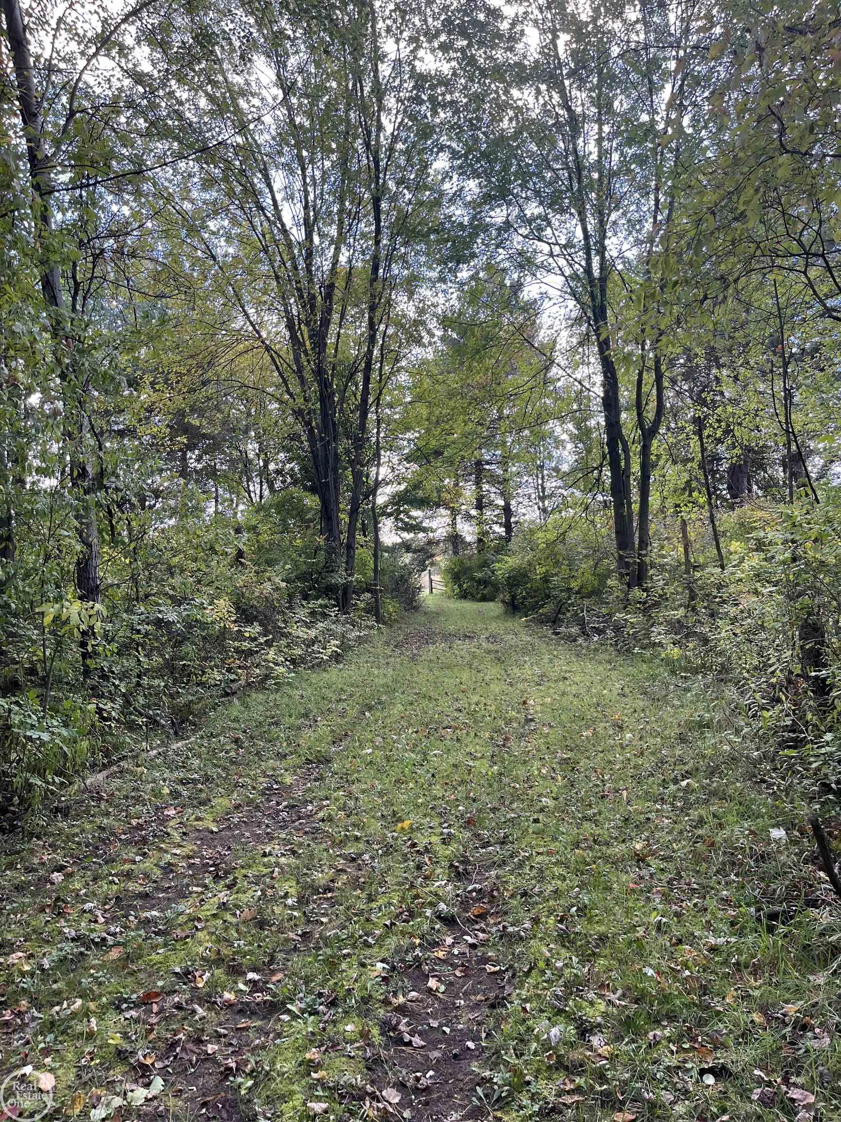 0 Puttygut Road Casco, MI 48064 - Photo 18 of 19 50125652-17.JPG
