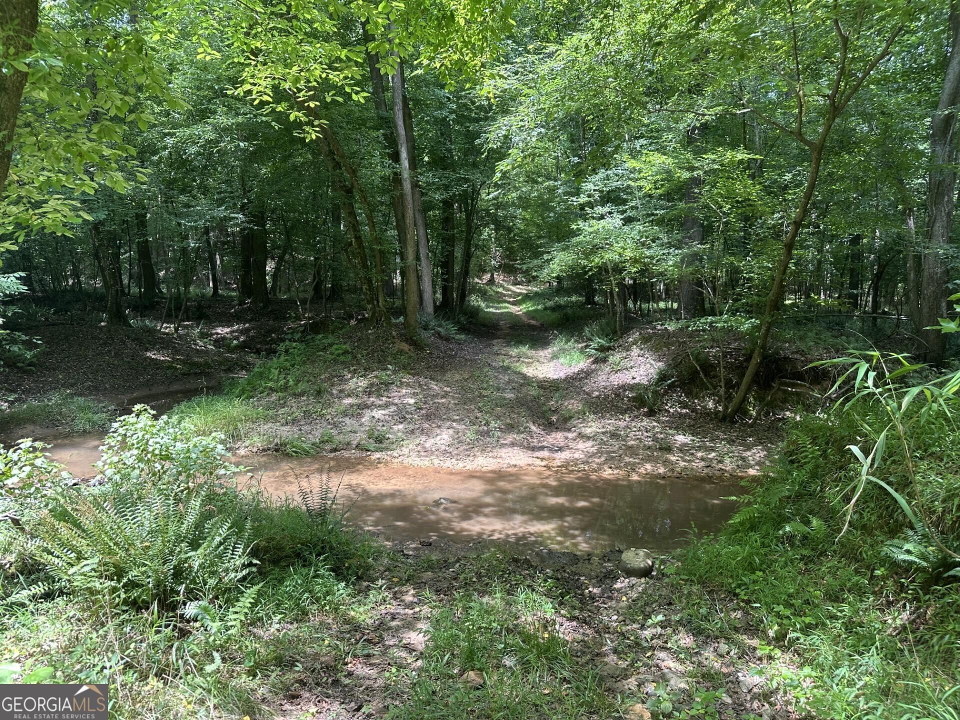 360 Happy Hollow Road Comer, GA 30629 - Photo 4 of 31
